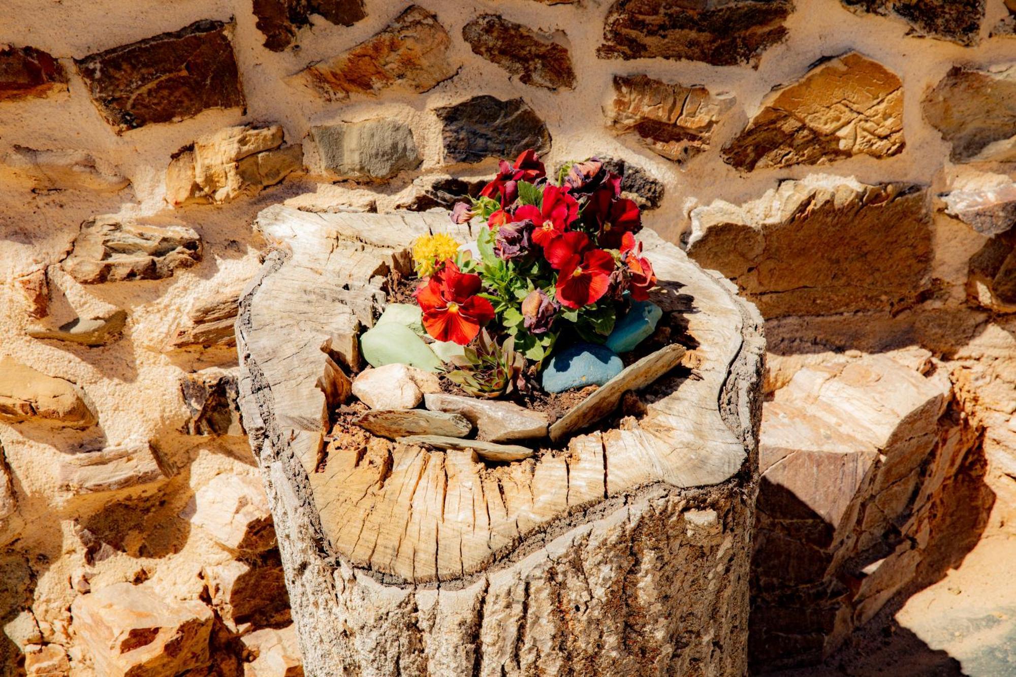 Via Avis Guest House Santa Catalina de Somoza Bagian luar foto